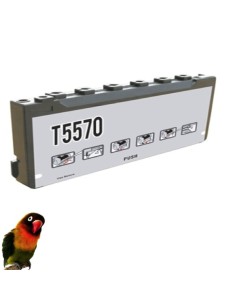 Cartucho tinta T5570 x Stylus PictureMate 500 - PM500