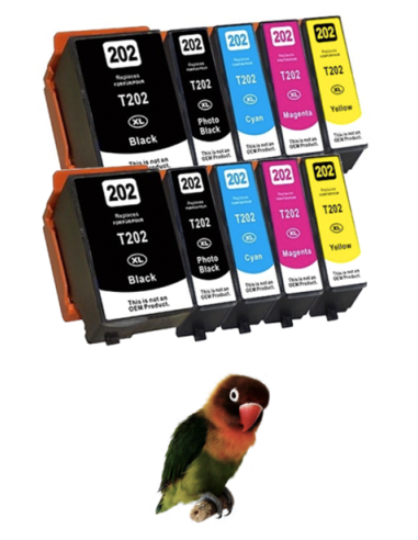 copy of Tinta compatible Epson 202XL negro Epson Expression Premium XP-6000 XP-6005