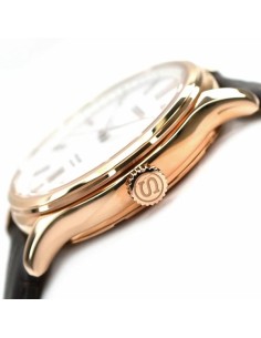 reloj automático hombre Seiko Presage Japanese Zen Garden SRPD42J1 41.7mm cristal de zafiro doble curvatura 2