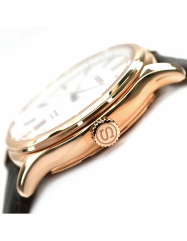 reloj automático hombre Seiko Presage Japanese Zen Garden SRPD42J1 41.7mm cristal de zafiro doble curvatura