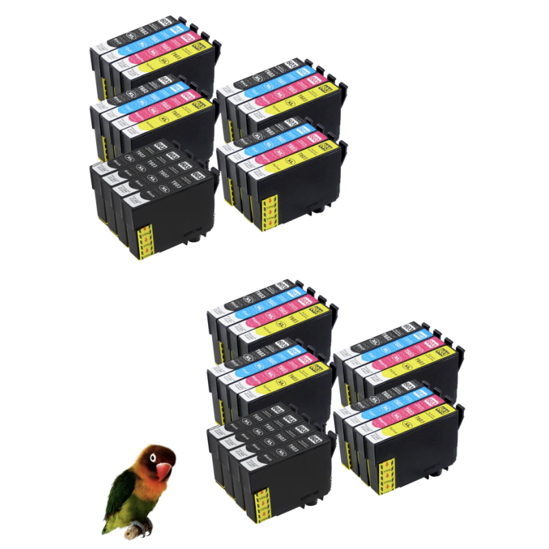 40 Tintas compatibles con 603XL Epson Expression Home XP-2100 XP-2105 XP-3100